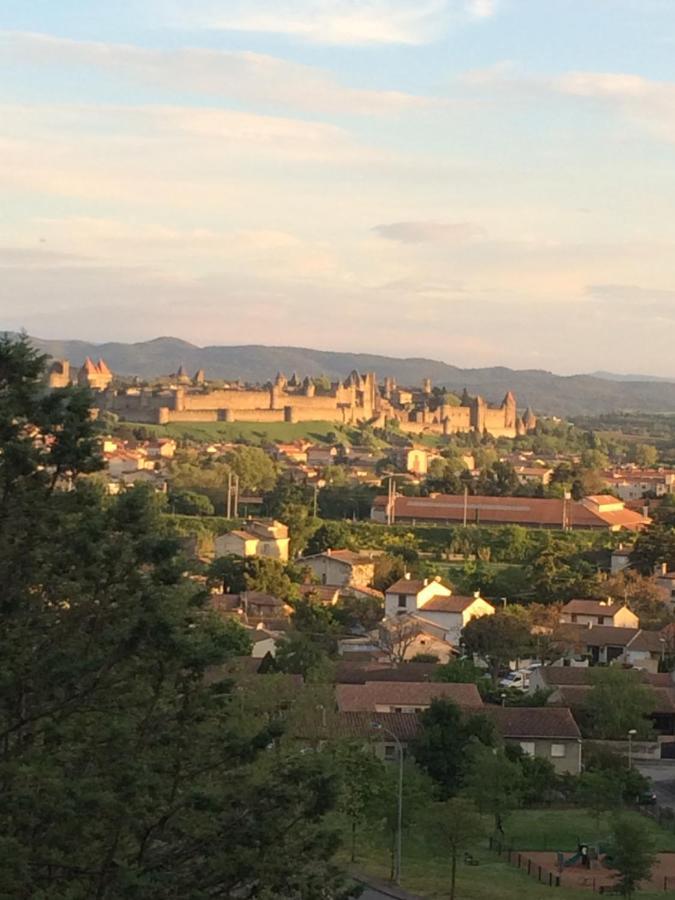 Chambre D'Hote Vue Imprenable Sur Cite - Villa Rose Carcassonne Zewnętrze zdjęcie