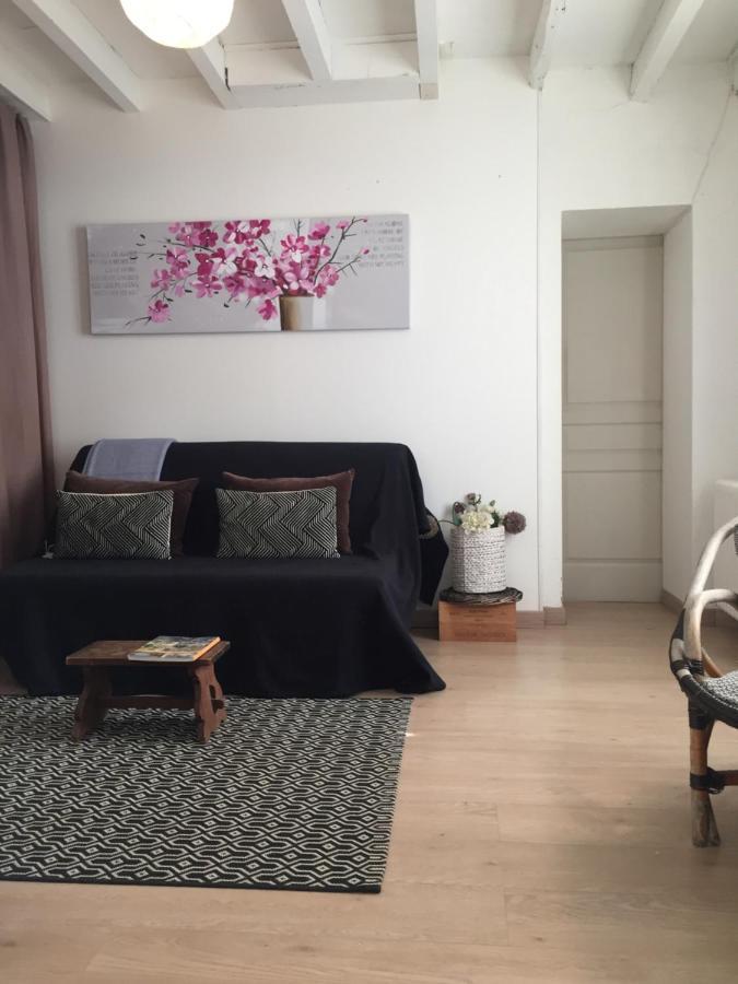 Chambre D'Hote Vue Imprenable Sur Cite - Villa Rose Carcassonne Zewnętrze zdjęcie