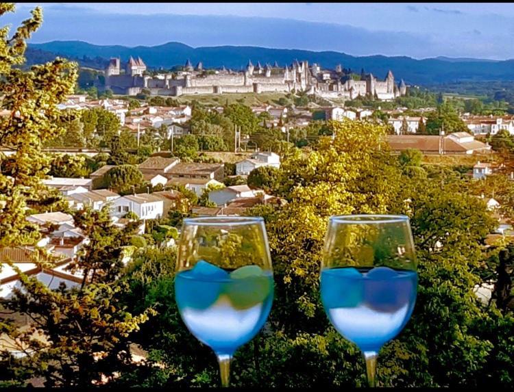 Chambre D'Hote Vue Imprenable Sur Cite - Villa Rose Carcassonne Zewnętrze zdjęcie